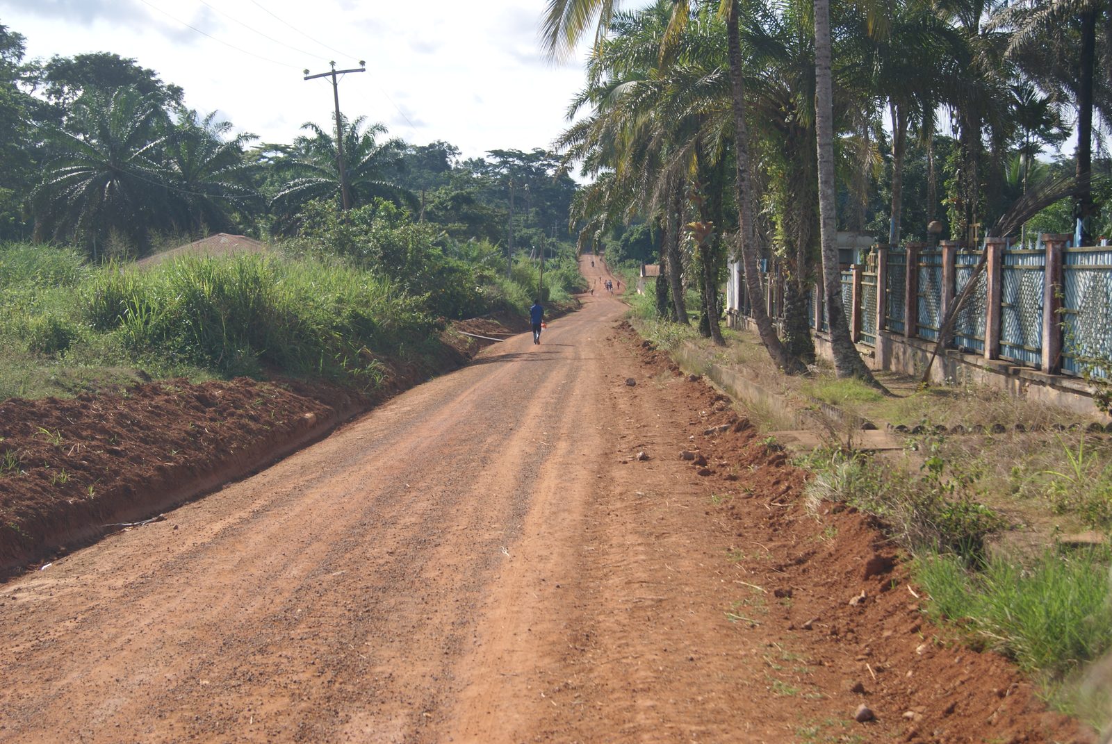 Route menant à l'un des terrains d'action de l'association au Cameroun